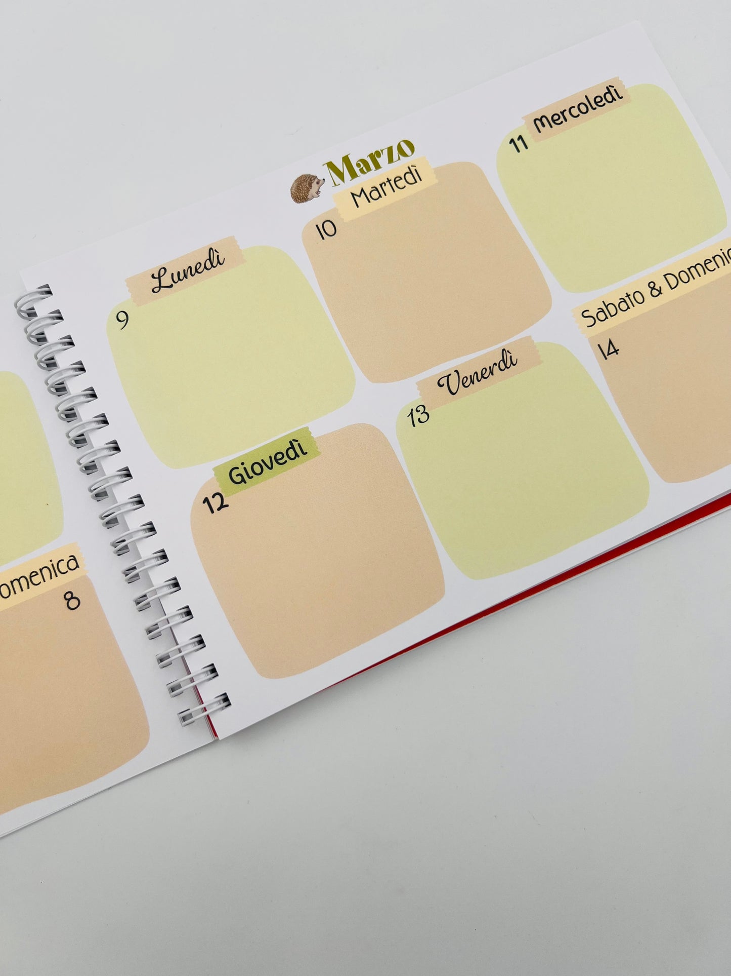 Agende settimanale delle Bubine 2026