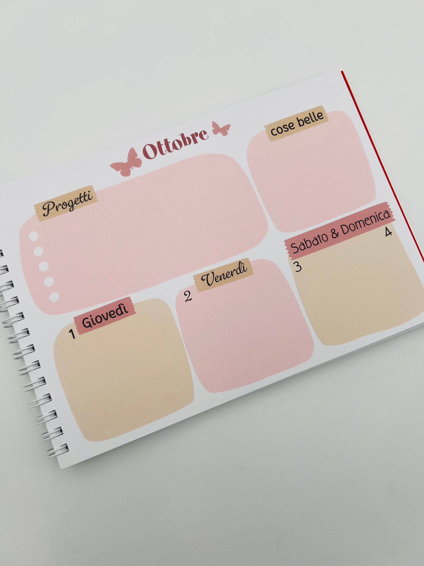 Agende settimanale delle Bubine 2026