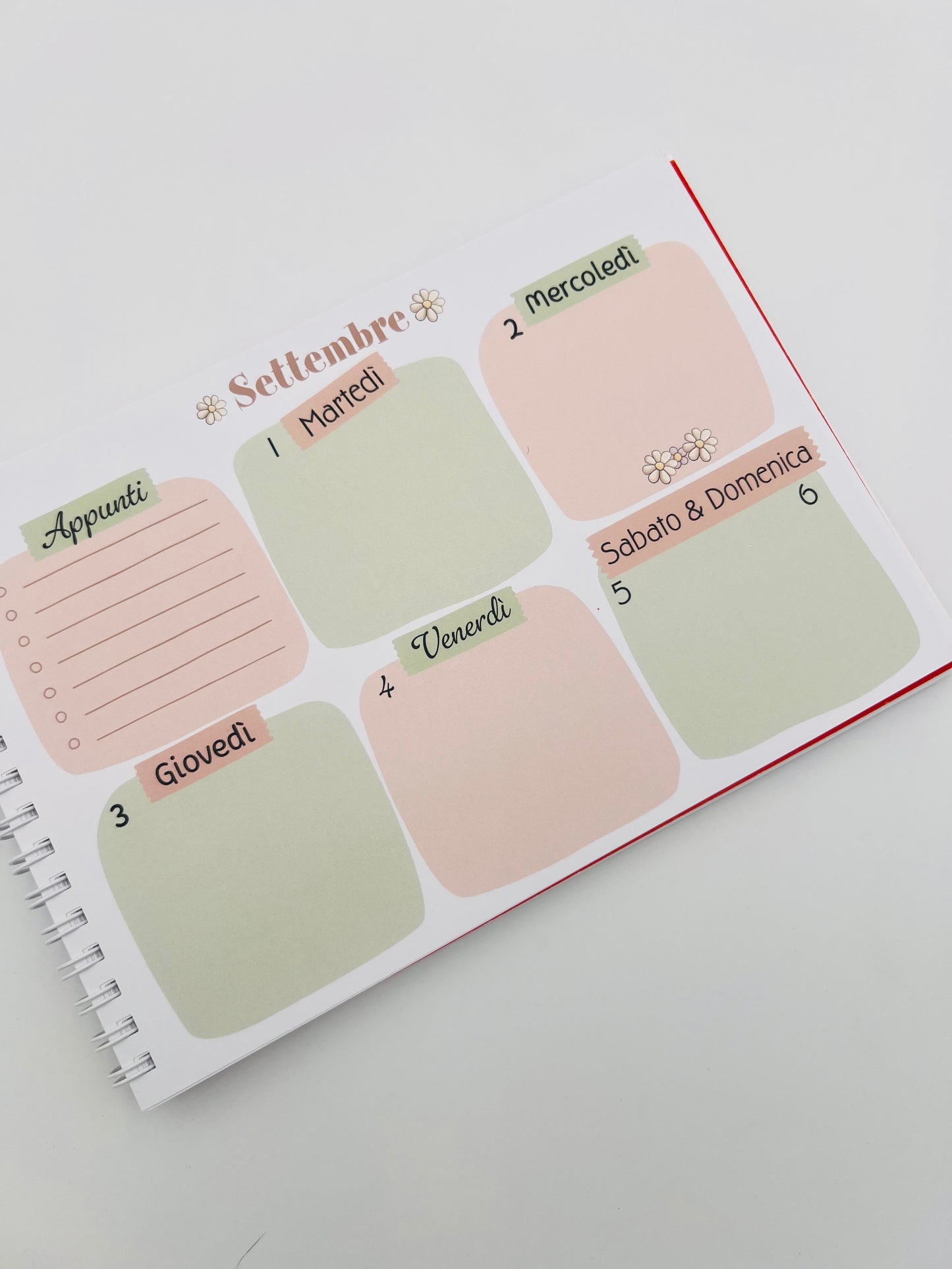 Agende settimanale delle Bubine 2026