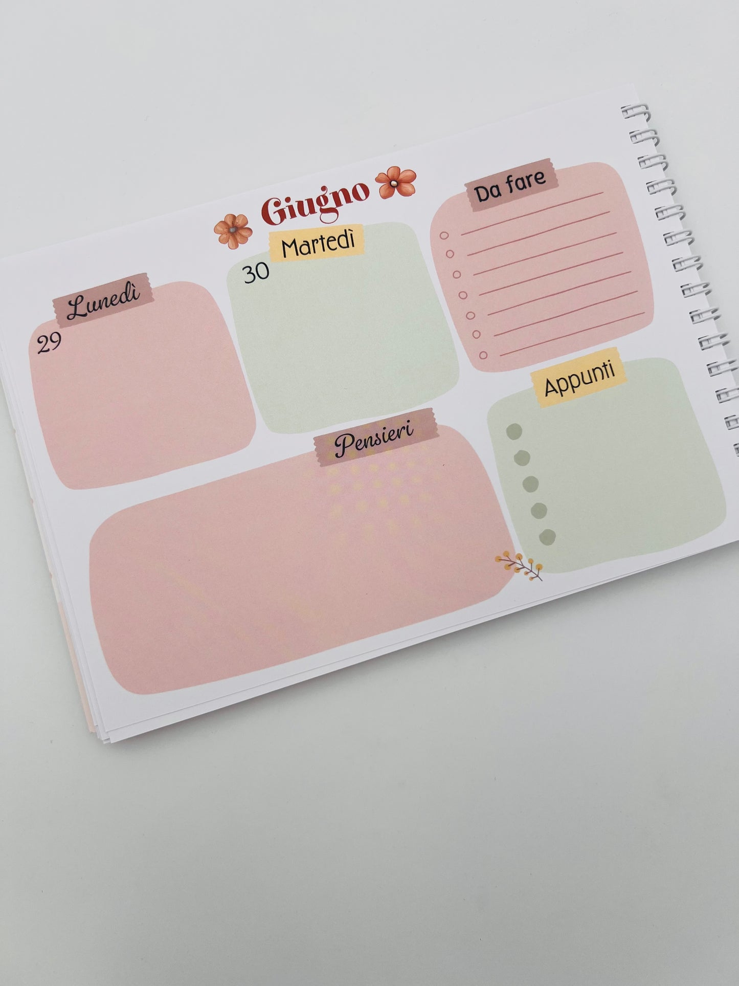 Agende settimanale delle Bubine 2026